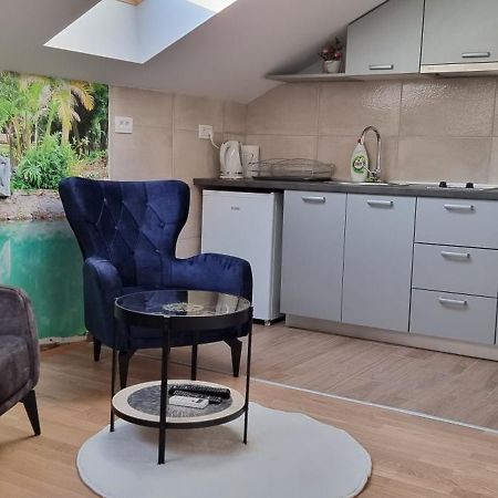 Naki Apartmani 波德戈里察 外观 照片