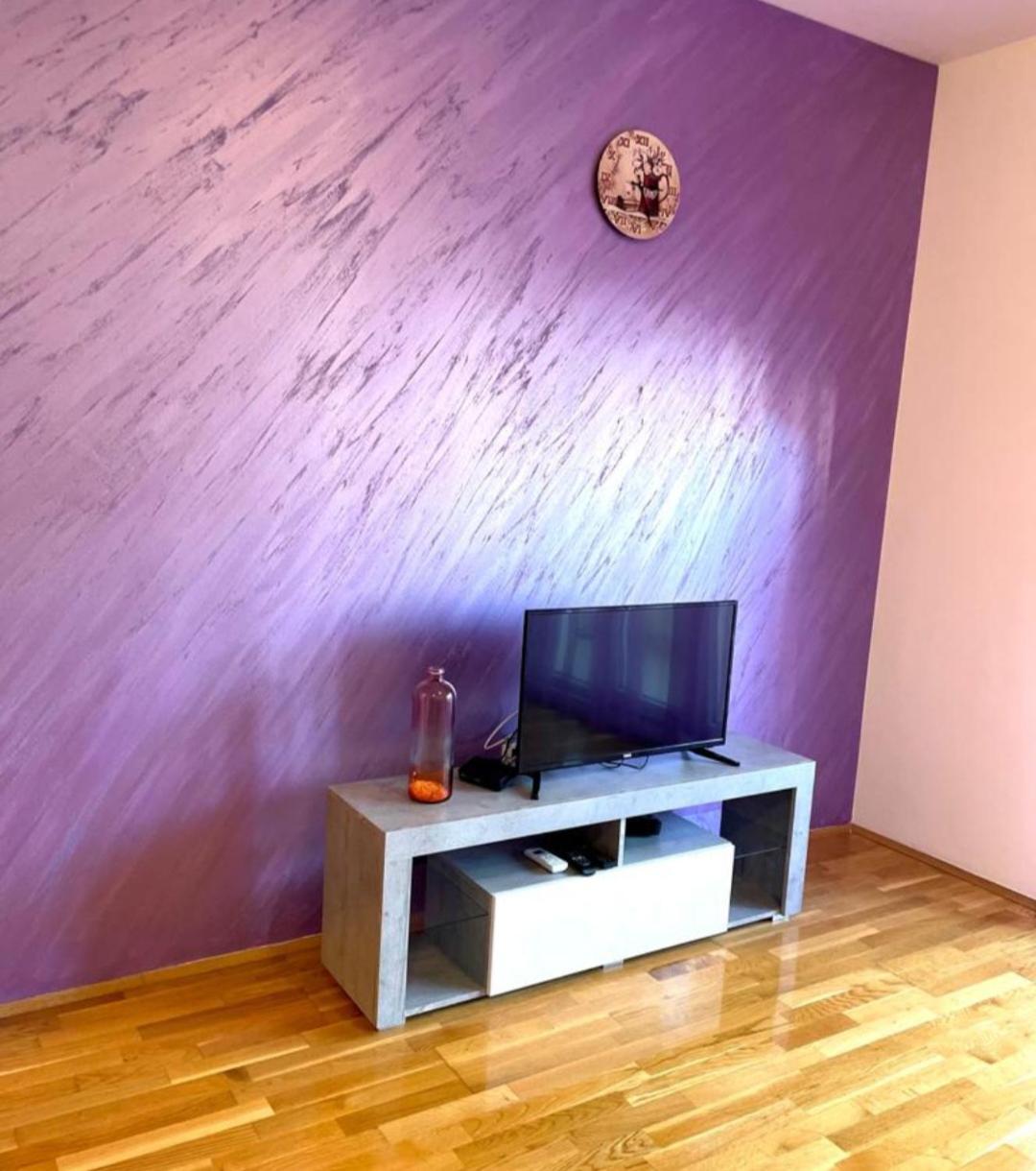 Naki Apartmani 波德戈里察 客房 照片
