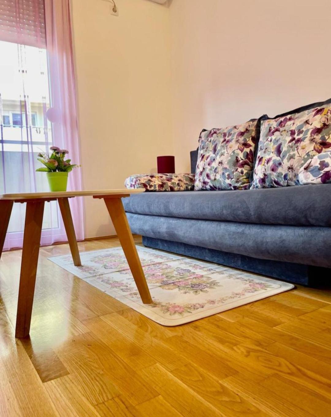 Naki Apartmani 波德戈里察 客房 照片