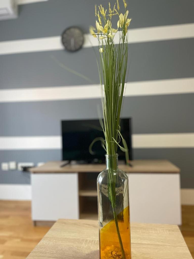 Naki Apartmani 波德戈里察 客房 照片