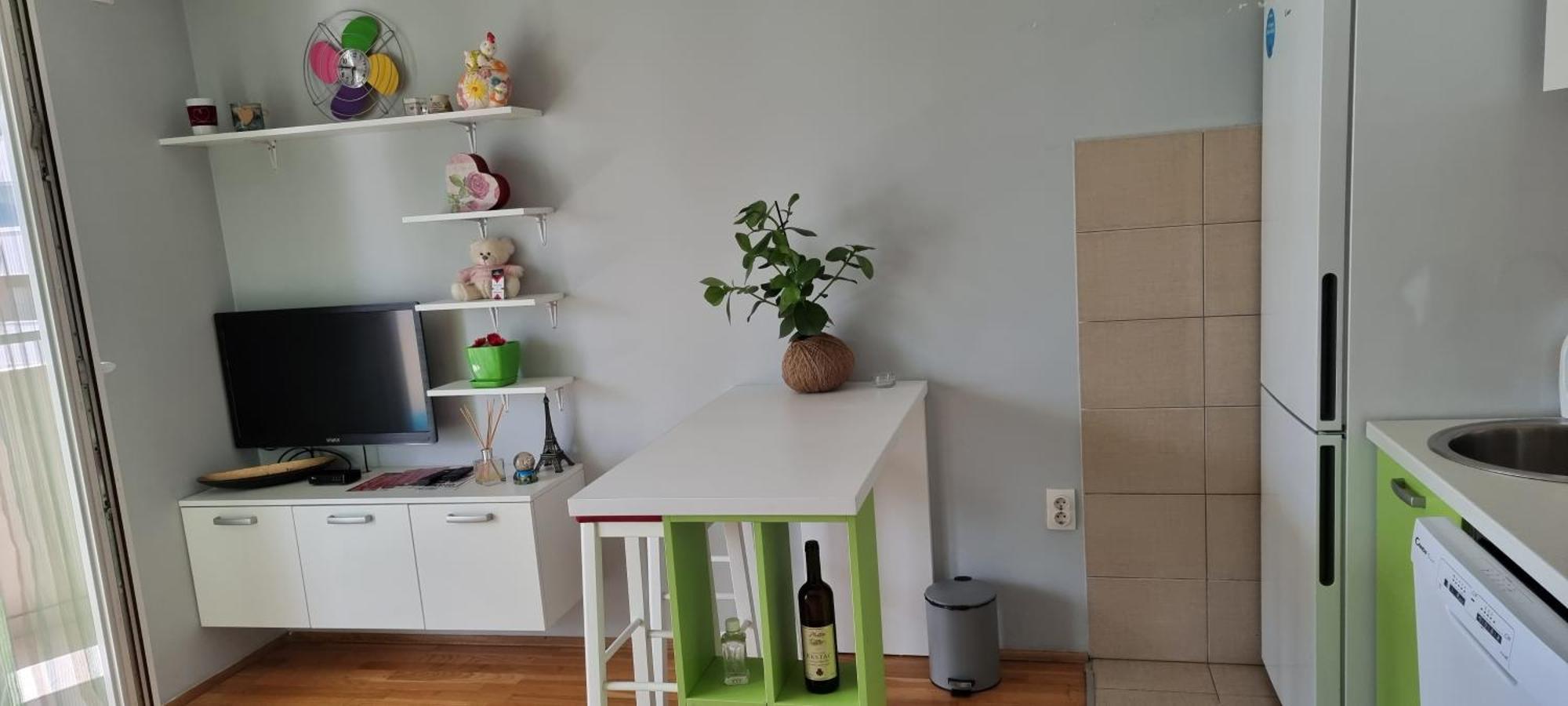 Naki Apartmani 波德戈里察 客房 照片